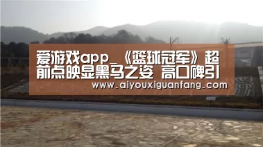 爱游戏app_《篮球冠军》超前点映显黑马之姿 高口碑引爆观众笑点泪腺(图2) 爱游戏下载