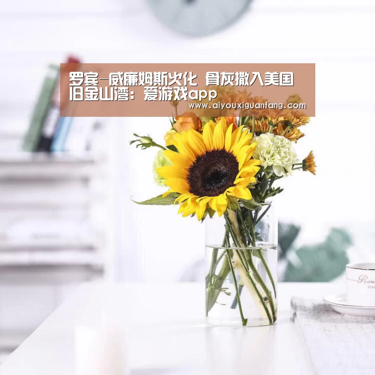 罗宾-威廉姆斯火化 骨灰撒入美国旧金山湾:爱游戏app(图1) 爱游戏官方下载