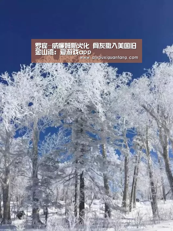 罗宾-威廉姆斯火化 骨灰撒入美国旧金山湾:爱游戏app(图4) 爱游戏app下载