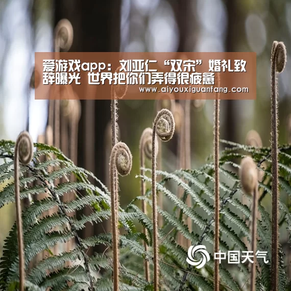 爱游戏app