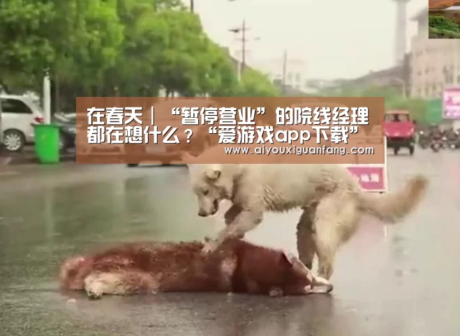 在春天|“暂停营业”的院线经理都在想什么?“爱游戏app下载”(图3) 爱游戏app