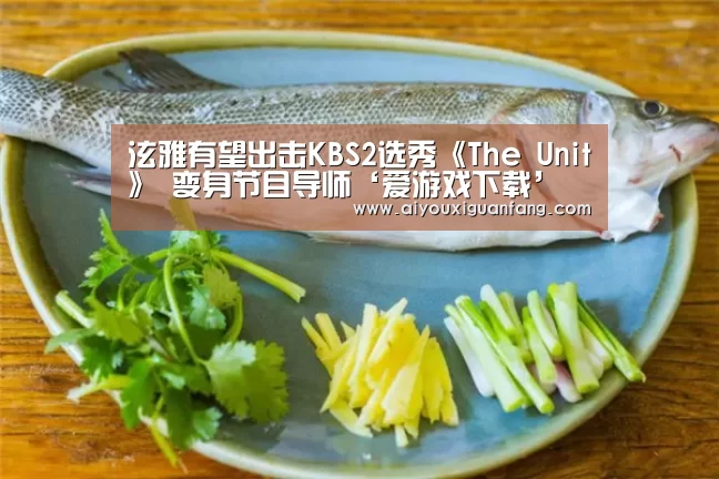 泫雅有望出击KBS2选秀《The Unit》 变身节目导师‘爱游戏下载’(图2) 爱游戏下载